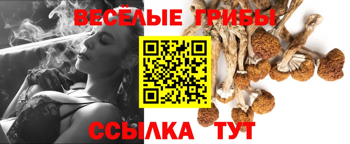 Псилоцибиновые грибы мицелий  Галлюциногенные грибы прущие грибы  Вход с VPN  Октябрьский 