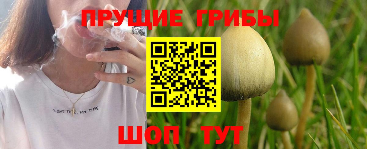 Галлюциногенные грибы прущие грибы Октябрьский